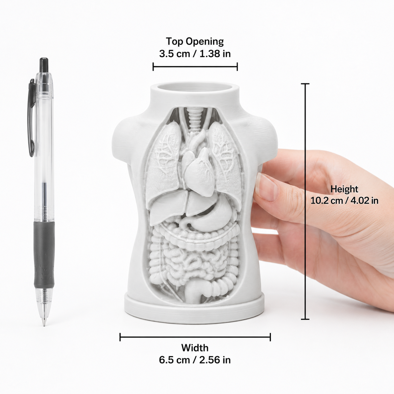 2ピースセット 3Dプリント PETG製 人間解剖学 メイク - 3D Printing Holder のレビューと価格